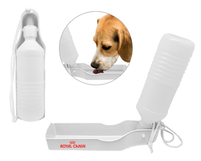 BOTELLA PARA AGUA 440 ml FLOW PET A2294 BLANCO
