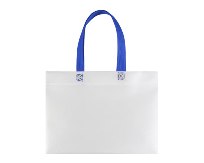 BOLSA ECOLÓGICA DELIVERY A3205 AZUL 2